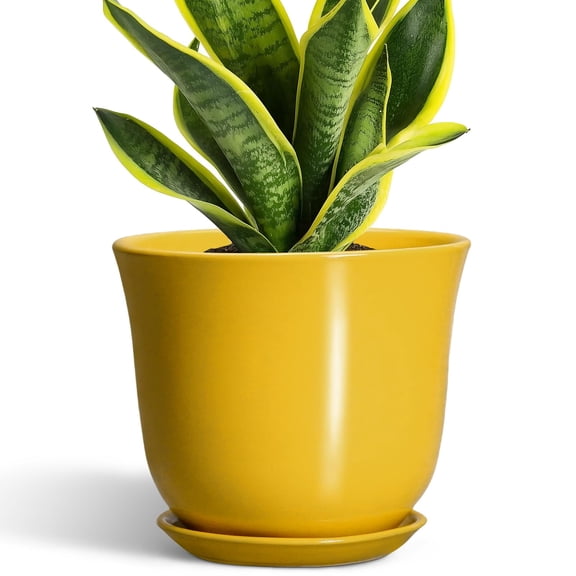 Ordivic 8 inch Yellow Round Ceramic Plant Pot with Drainage Hole & Saucer, Modern Decor Indoor Outdoor Planter for Houseplants & Snake Plants,Gift for Plant Lovers