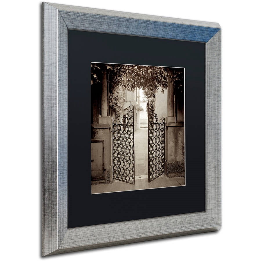 Trademark Fine Art "Venezia V" Canvas Art by Alan Blaustein, Black Matte, Silver Frame