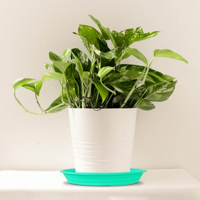 Base de Pot en Résine Épaissie Robuste Plateau d'Eau Circulaire pour Soucoupes de Jardinière Intérieur Extérieur