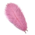 thumbnail image 5 of 10 piezas/lote de plumas de avestruz naturales de color rosa rojo para manualidades, decoración de bodas, fiestas, accesorios, centro de mesa, carnaval, 5 of 5