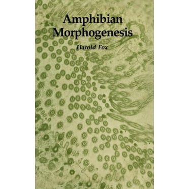 Bioscience: Amphibian Morphogenesis (Hardcover)