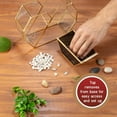 thumbnail image 2 of D'Eco Glass Heart Plant Terrarium (8X 8X 2.5)- Gold Trim Geometric Planter - Succulents, Air Plants, Moss, Fern- Home, Office & Wedding Decor- Great Gift for Plant Lovers, 2 of 5