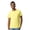 Cornsilk, variant on Crown Craze® Unisex Short Sleeve T-Shirt, 100% Cotton Plain Comfortable Tee (Ash, L)
