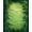 Green, Pattern 4, variant on ODIKA Forest Camo Solid Field Look Classroom Woodland Shaggy Fuzzy Non-Slip Flatwoven for Living Room, Under Sectional, Family