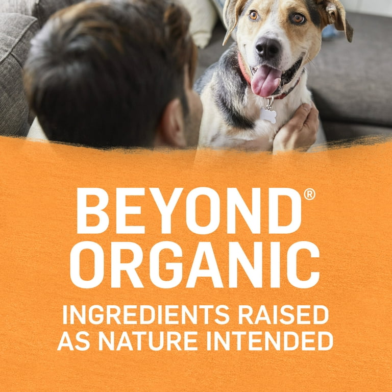 Organic wet puppy food sale
