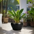 thumbnail image 6 of 13 Inch Flower Pots Modern Round Ceramic Planter with Drainage Hole Housewarming Gift for Large Indoor Plants & Fiddle Leaf Fig Black, 6 of 7