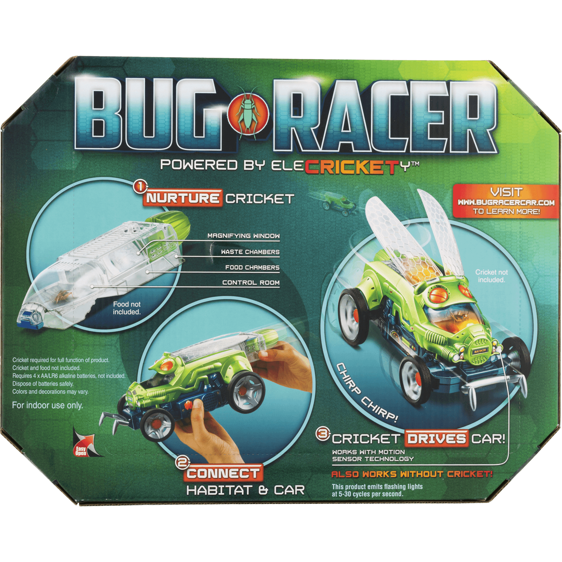 bug racer car