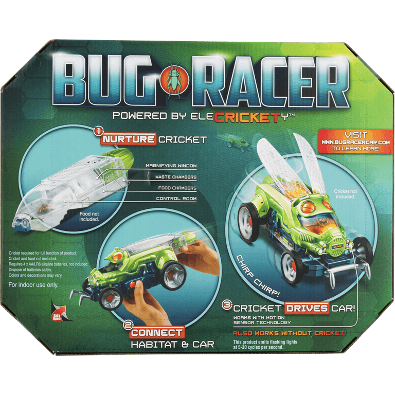 Bug Racer Powered by Elecrickety - Walmart.com