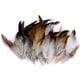thumbnail image 4 of 50 Pieza Sombrero Y Sombrerería Decoración Diy Artesanal Sunnimix Pluma del gallo natural, 4 of 6