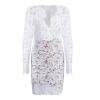 Elegante Sexy Mujer Con Cuello En V Encaje Hueco Crochet Paquete Cadera Vestido/M-198359.02 Tmvgtek Mujer