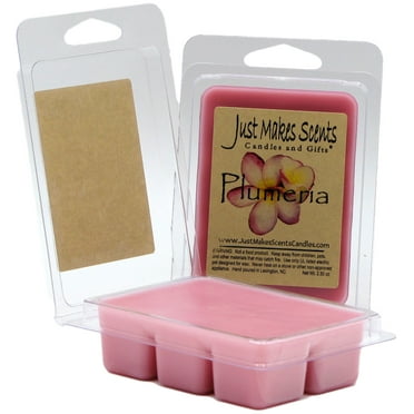 Plumeria 2-Pack Homemade Soy Wax Melts -Just Makes Scents Candles & Gifts