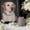 Gray, variant on Pet Cremation Urn for Ashes, Sealed Memorial Jar for Dog Cat Ashes and Hair, Small Stone Keepsake Urn with Lid, 6.3 inch Pet Funeral Urn for Home Display