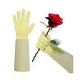 thumbnail image 1 of wonima02 Rose Pruning Gardening Gloves Long Sleeve Puncture Proof Gloves with Forearm Protection for Women and Men, Light Yellow, XL, 1 of 1