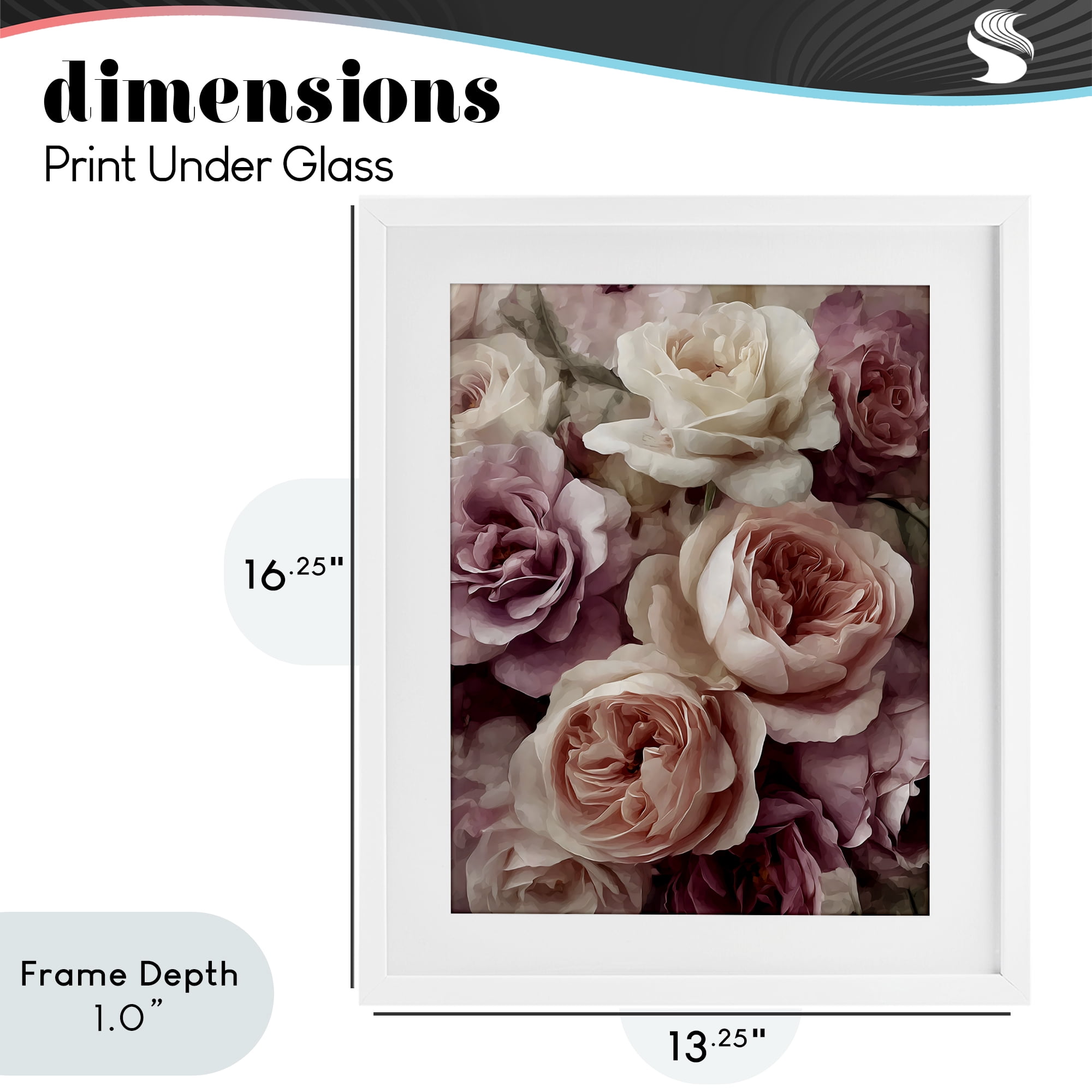 Stupell Industries Sweet Roses in Blush Pink White Framed Print Under Glass, design by Franklyn Gregory