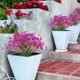 thumbnail image 4 of Ramo de novia de 2 piezas con flores artificiales para decoración del hogar, 4 of 6