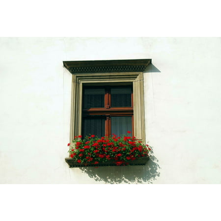 Canvas Print Shutters Flowers Window Sill Window Glass Stretched Canvas 10 x