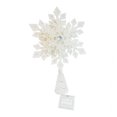thumbnail image 4 of Punta de Árbol Holiday Time Snow WH22203H, 4 of 4
