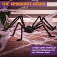 thumbnail image 4 of Joyfy 5 ft Giant Spider Halloween Decorations Outdoor,Poseable Scary Spider Lifelike Hairy Prop for Yard,Haunted House,Tree or Porch Party Decorations,Black, 4 of 9
