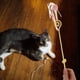 thumbnail image 3 of KAKOWELY palitos de juguete interactivos para gatos, ideal para amantes de los gatos., 3 of 5