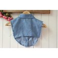 thumbnail image 6 of Magik Choker Necklace Unisex Women Peter Pan Detachable Lapel Shirt Fake False Collar (Denim-Blue), 6 of 7