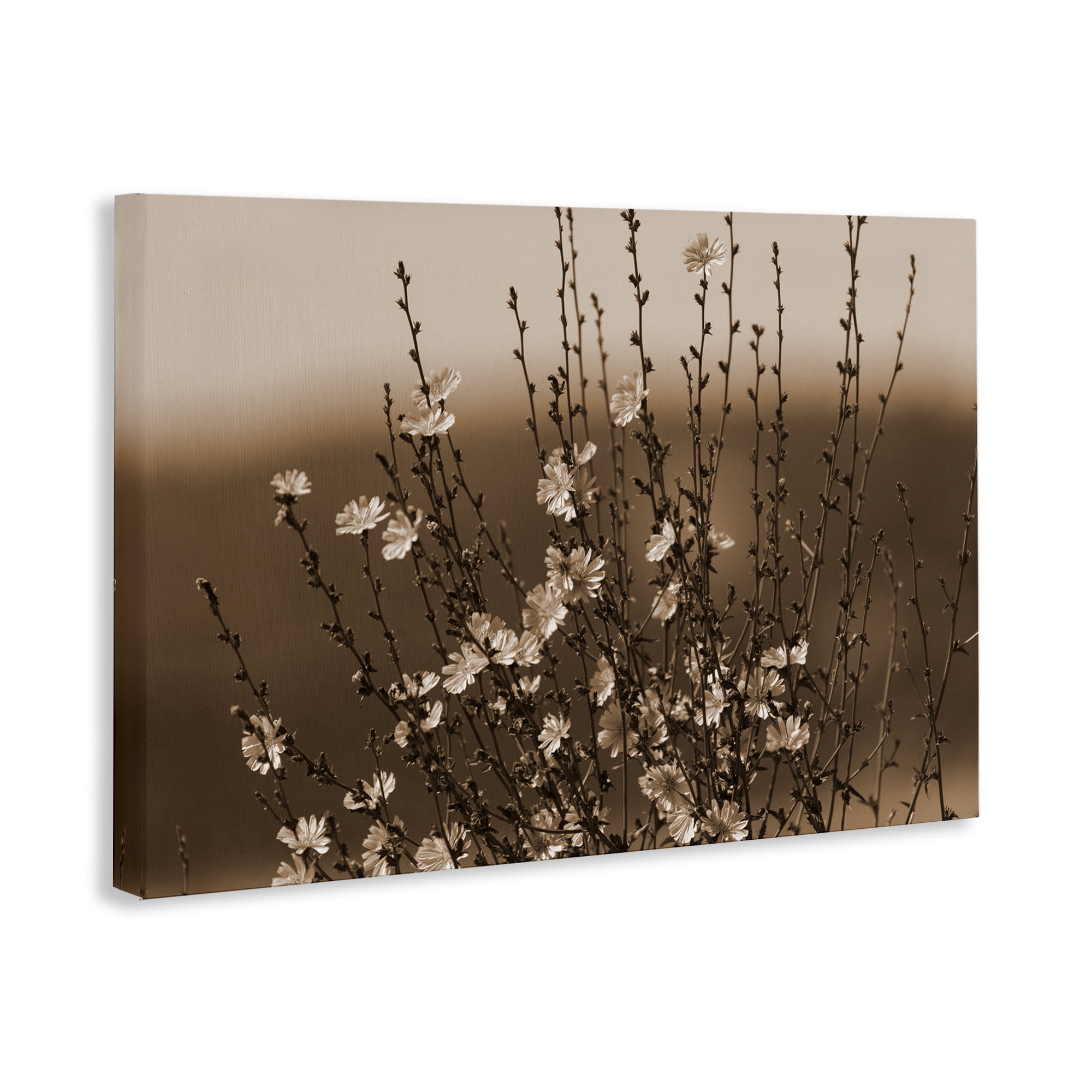 Stupell Industries Tiny Blooming Flowers Plants & Flowers Photography Wrapped Canvas Art Print Wall Art, 30 x 20
