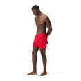 thumbnail image 2 of Speedo Men's Adult Solid 'The Lookout Volley' 16" Swim Short - High Risk Red, Size: L, 2 of 4