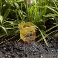 thumbnail image 4 of 10 Pack 1.5" Rain/Sprinkler Gauge, Wide Mouth, Bright Yellow, Outdoor Water, 4 of 4