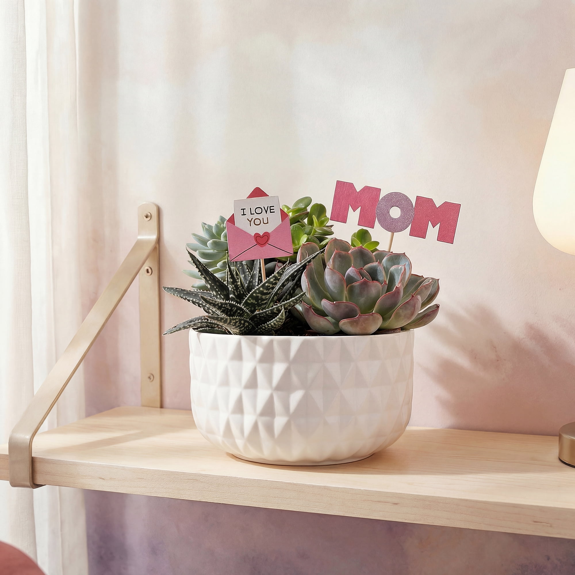 Green Circle Growers 6" Succulent Garden Live Plant Arrangement in Ceramic Planter – Mother’s Day Gift