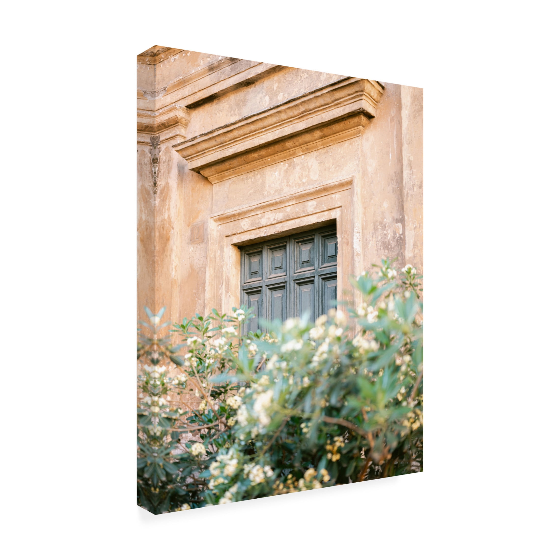 Trademark Fine Art Raisa Zwart Botanical Trastevere Rome Canvas Wall Art