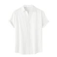 thumbnail image 2 of lmcalzta Mens Short Sleeve Button down Shirts Casual Soft Vacation Clothing Beach Fashion Summer Tops, 2 of 9
