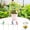 4PC, variant on 4 Pack Dragonfly Decor,3D Dragonfly Garden Stakes Decor,Fly Deterrent, Dragonfly Humming Bird Stakes,Deer and Horse Fly Deterrent,Garden Bird and Fly Scare Devices for Indoor Outdoor Garden