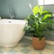 thumbnail image 3 of Maceta de Algas Marinas - Tejida Cesta Decorativa para Plantas con LáMina PláStico en Estilo Bohemio S, 3 of 5