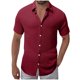 thumbnail image 2 of Blusa y camisa de manga corta con cuello vuelto para hombre, color liso, informal, holgada, con botones, de poliéster, 2 of 7