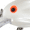 Pearl Red Eyes, variant on Bandit Series 100 Crankbait 2" Pearl Red Eyes 1/4 oz.
