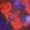 Sunset Dye-Pink Plume, variant on Terra & Sky Women's Plus Size Balloon Sleeve Top