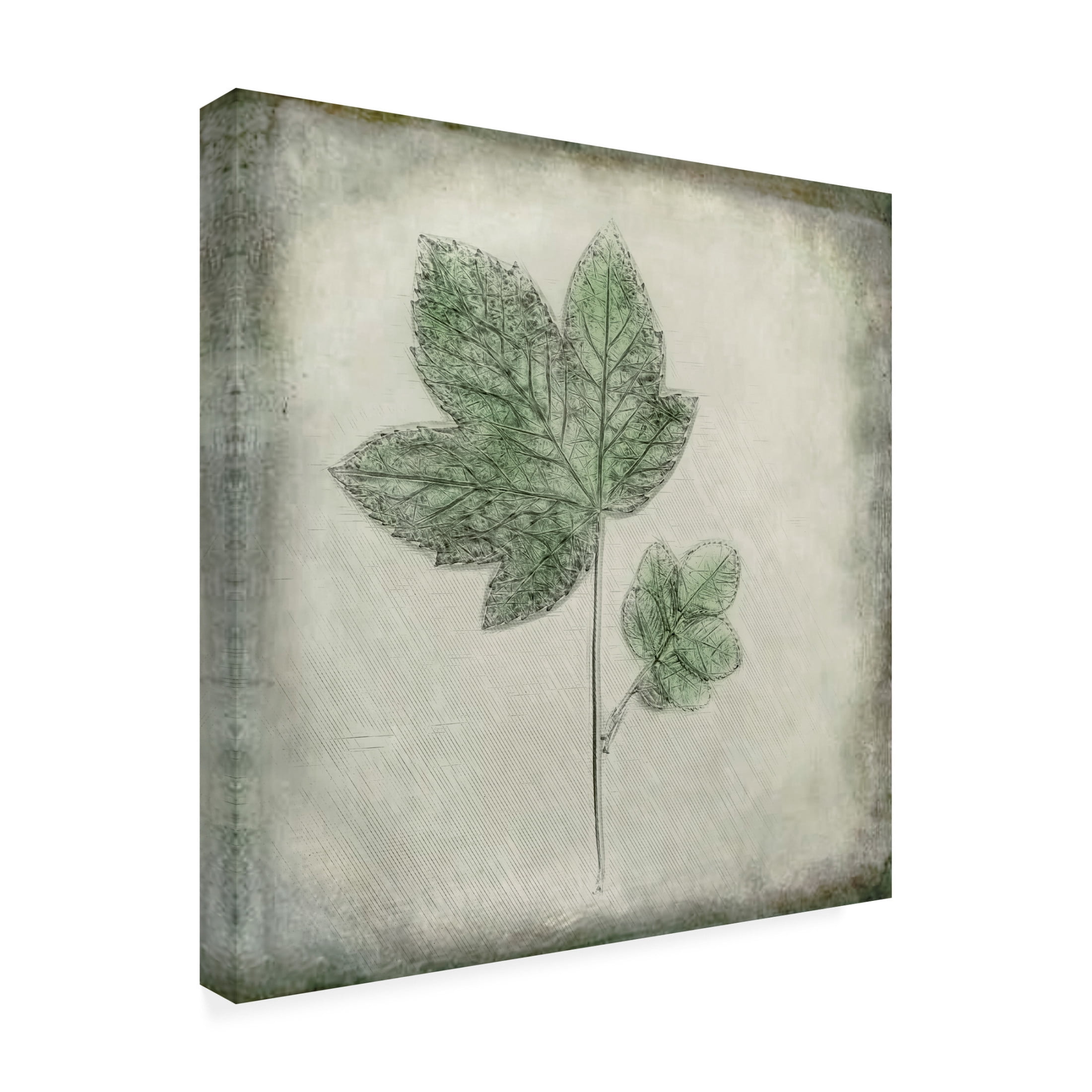 Trademark Fine Art Cicek Kiral Before The Decay Canvas Wall Art