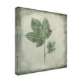 thumbnail image 4 of Trademark Fine Art Cicek Kiral Before The Decay Canvas Wall Art, 4 of 4