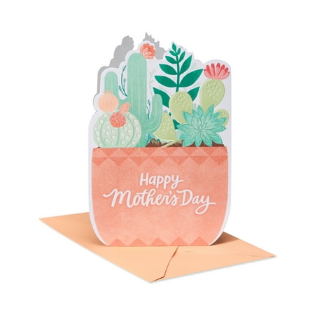 American Greetings Mother's Day Card (Potted Succulents)