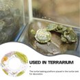 thumbnail image 4 of Miangastore 3Pcs Inflatable Turtle Floating Platform Toy Small Animal Float Swimming Ring Basking Rest Dock for Turtle Tortoise, 4 of 8