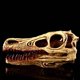 thumbnail image 3 of Figura de dinosaurio decorativa, modelo de calavera para colección de anatomía, decoración de Halloween, 3 of 9