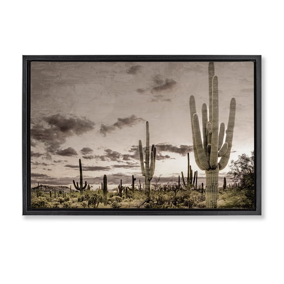 Stupell Industries Rustic Lodge Desert Sky Wilderness Black Floating Frame Canvas Art, 25 x 17, by Kim Allen