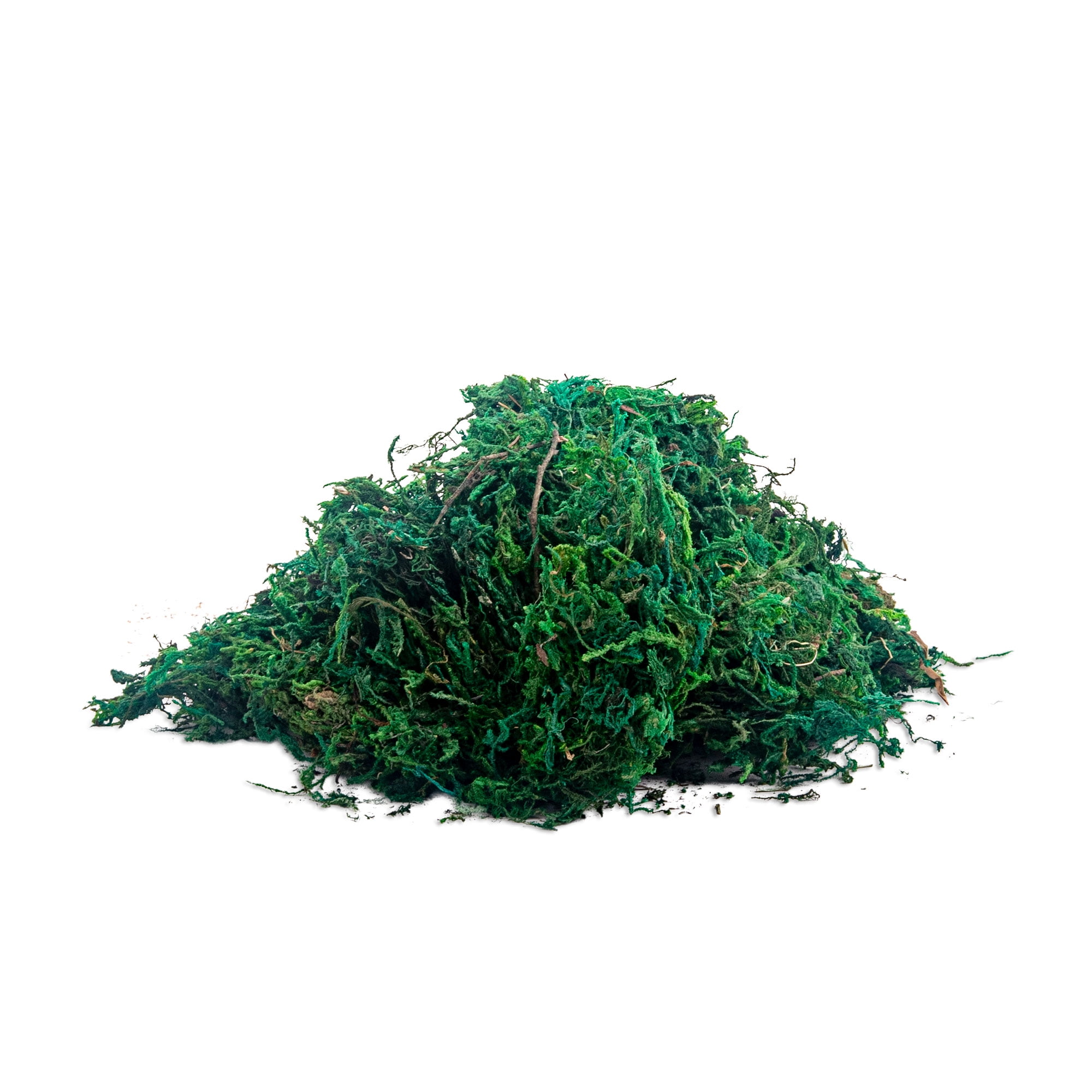 (3 pack) Aquaculture Green Terrarium Decor Moss for Reptiles 2.75oz