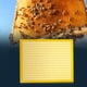 thumbnail image 2 of Excluidor de abejas reinas de 10 marcos, tablero separador para abejas reinas, suministros para ganado Amarillo, 2 of 4