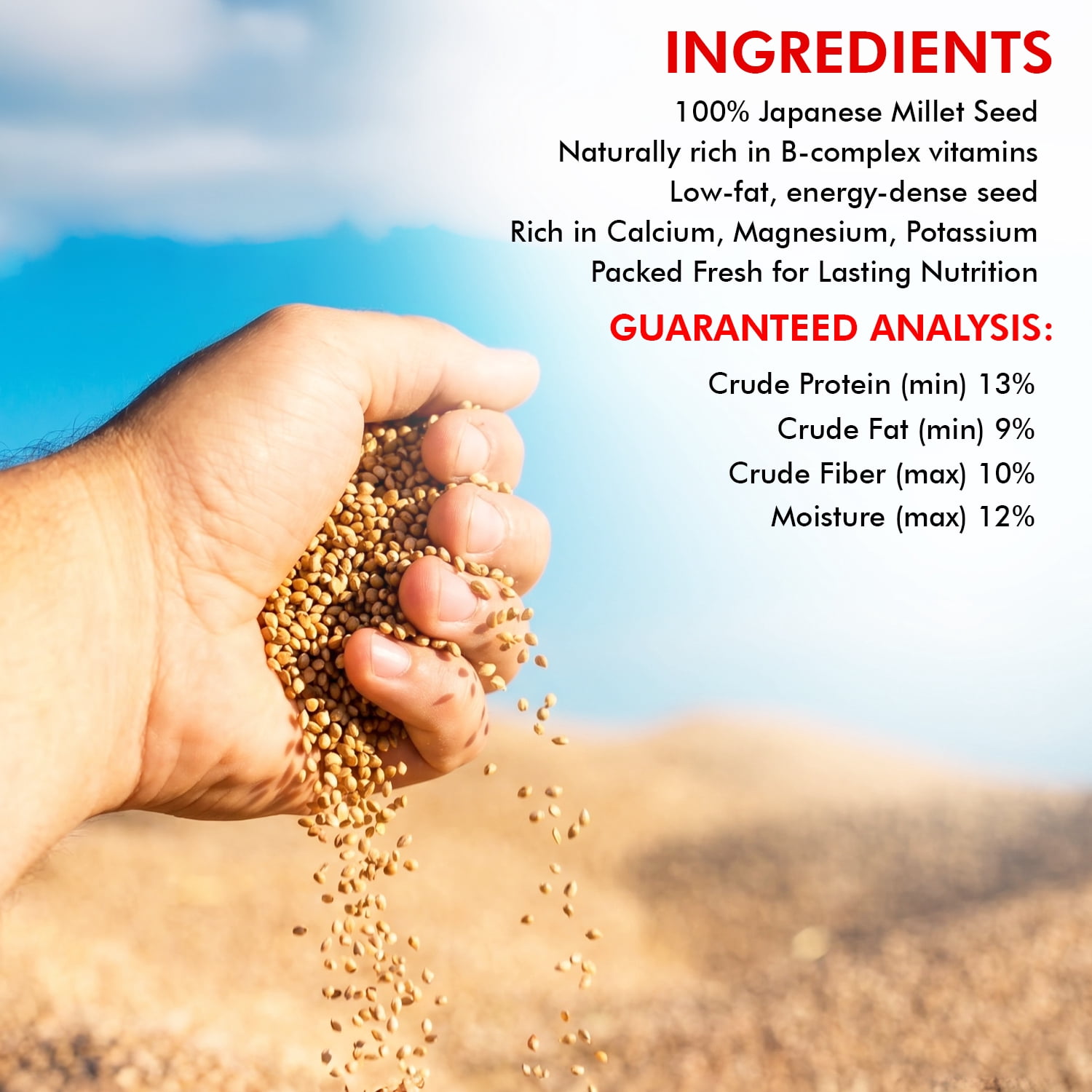 Morning Bird Japanese Millet Seed 4.5 lbs (3-Pack, 1.5 lbs Each) - Bird Food for Finches, Canaries & Parakeets – Natural Millet Seed for Daily Nutrition