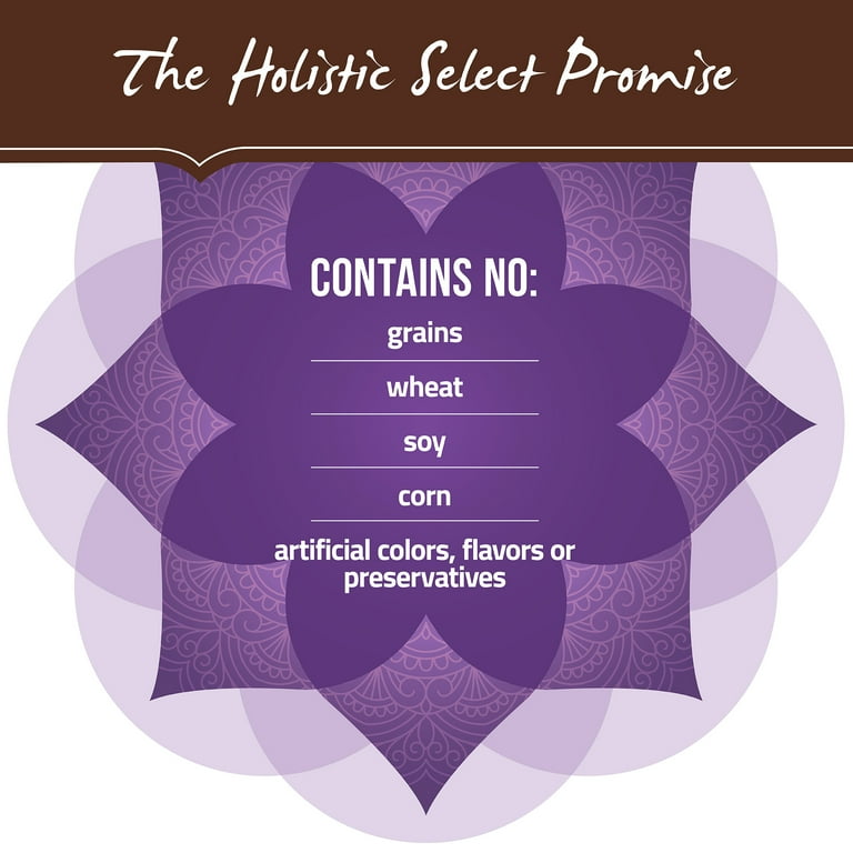 Holistic select grain free chicken pate cheap