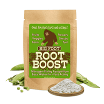 Big Foot Probiotic Root Boost Water Soluble Powder For Established Plants and Transplants - GROW ROOT SIZE, Increase Nitrogen, Grow New Plants from Cuttings, Pea Inoculant - 2 Ounces