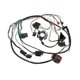 thumbnail image 1 of Motorcycle ATV Off-road Vehicle Kart Complete Electrical Wiring Harness Stator 6 Coil Compatible 50-125cc, 1 of 5