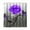 Purple, variant on Bathroom Shower Curtains, Red Rose Flower Butterfly Raindrop Waterproof Polyester Fabric Shower Curtain Sets Bathroom Curtains with 12Hooks (Red, 72X72 inch)