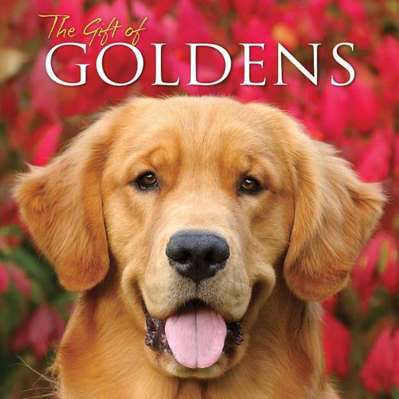 The Gift of Goldens (Hardcover)