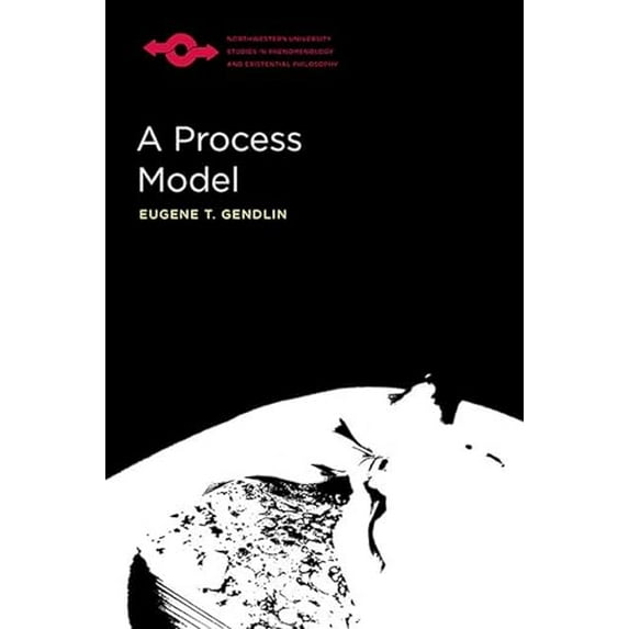 Pre-Owned A Process Model (Studies in Phenomenology and Existential Philosophy) Paperback